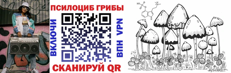 Псилоцибиновые грибы Cubensis  Пушкино 